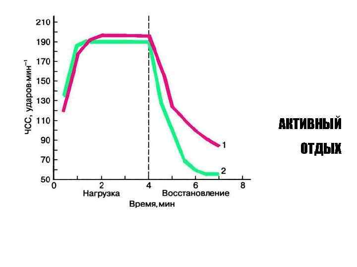 АКТИВНЫЙ ОТДЫХ 