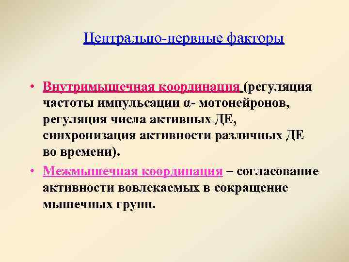 Центрально нервные факторы • Внутримышечная координация (регуляция частоты импульсации α- мотонейронов, регуляция числа активных