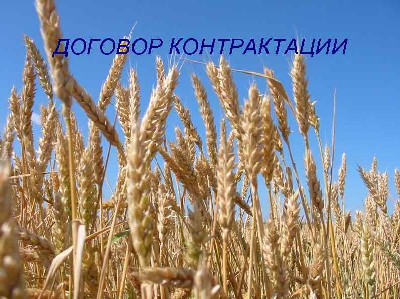 ДОГОВОР КОНТРАКТАЦИИ 
