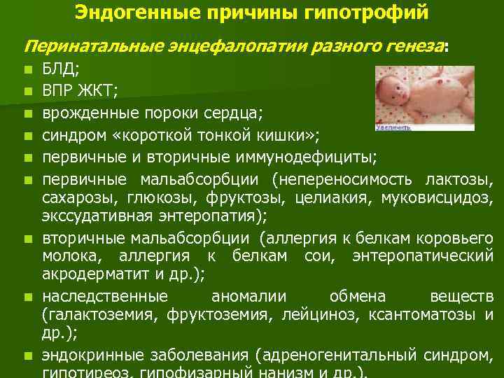 Эндогенные причины гипотрофий Перинатальные энцефалопатии разного генеза: n n n n n БЛД; ВПР
