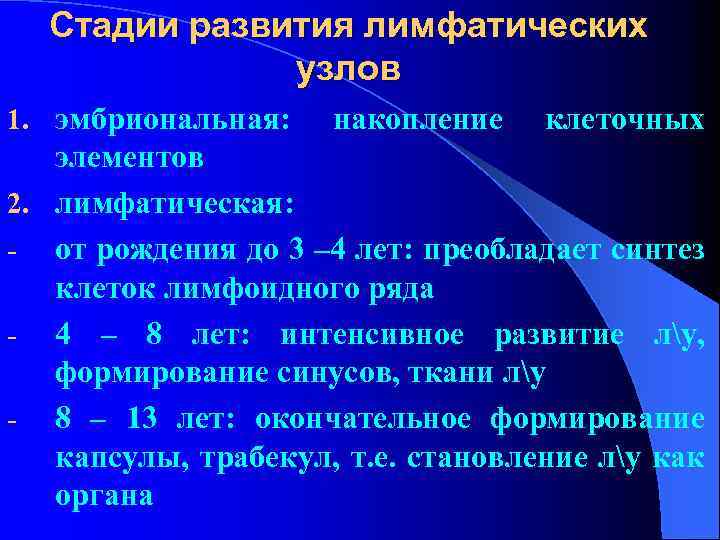 Стадии развития лимфатических узлов 1. эмбриональная: накопление клеточных элементов 2. лимфатическая: - от рождения