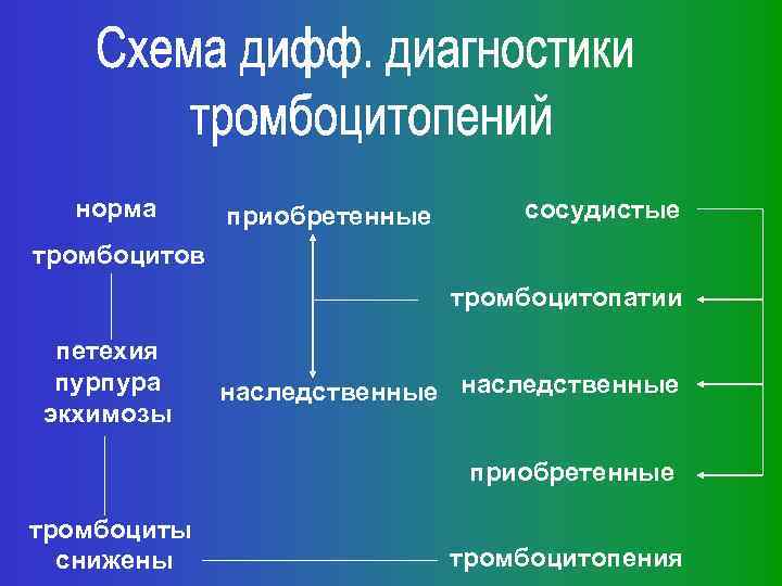 норма приобретенные сосудистые тромбоцитов тромбоцитопатии петехия пурпура экхимозы наследственные приобретенные тромбоциты снижены тромбоцитопения 