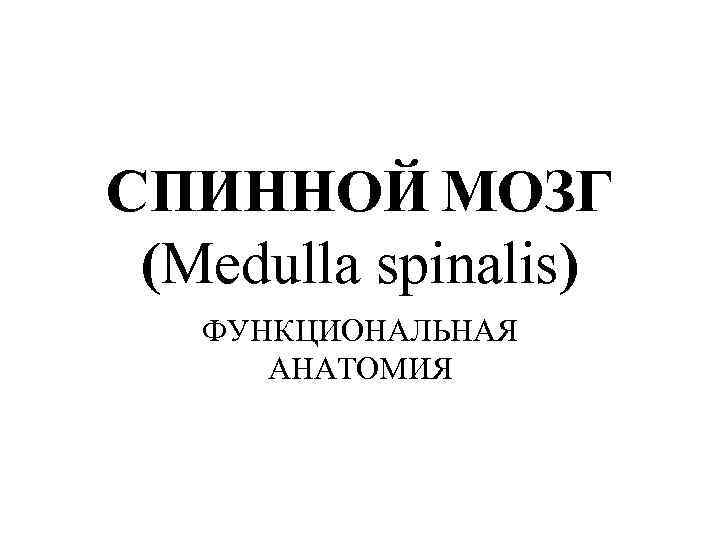 СПИННОЙ МОЗГ (Medulla spinalis) ФУНКЦИОНАЛЬНАЯ АНАТОМИЯ 