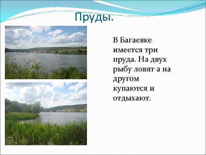 Пруды. В Багаевке имеется три пруда. На двух рыбу ловят а на другом купаются