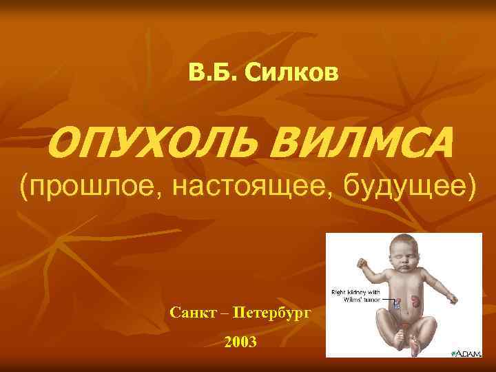 В. Б. Силков ОПУХОЛЬ ВИЛМСА (прошлое, настоящее, будущее) Санкт – Петербург 2003 