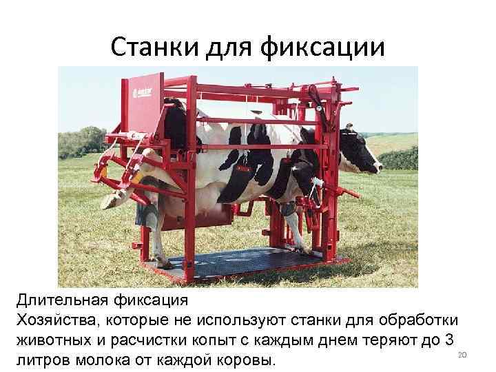 Станки для фиксации Длительная фиксация Хозяйства, которые не используют станки для обработки животных и