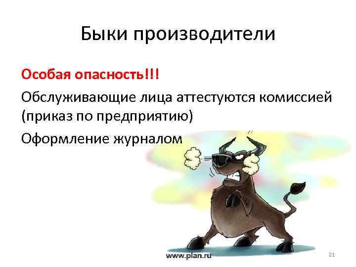 Быки производители Особая опасность!!! Обслуживающие лица аттестуются комиссией (приказ по предприятию) Оформление журналом 21