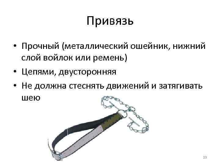 Привязь • Прочный (металлический ошейник, нижний слой войлок или ремень) • Цепями, двусторонняя •