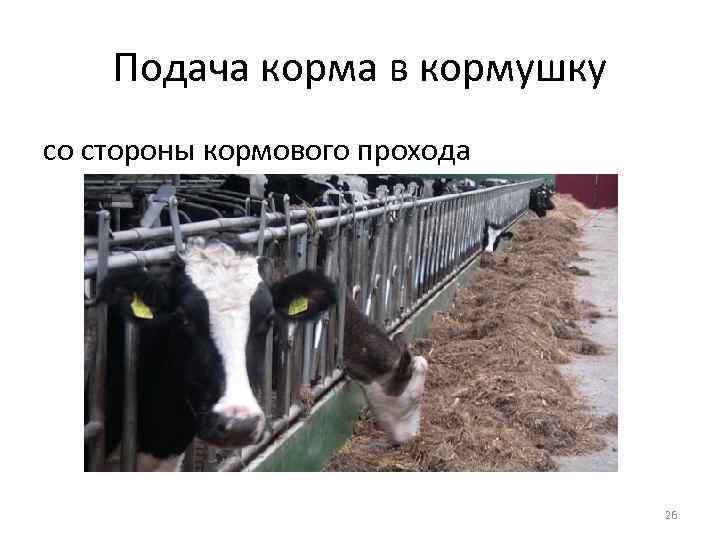 Подача корма в кормушку со стороны кормового прохода 26 
