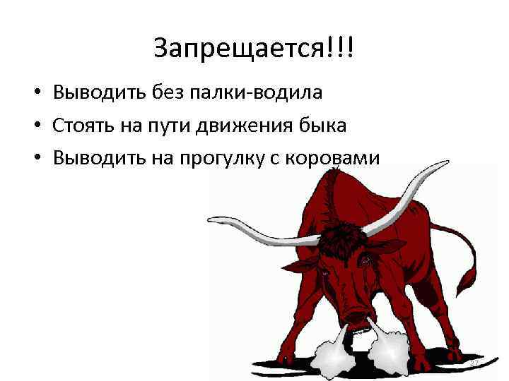 Запрещается!!! • Выводить без палки-водила • Стоять на пути движения быка • Выводить на