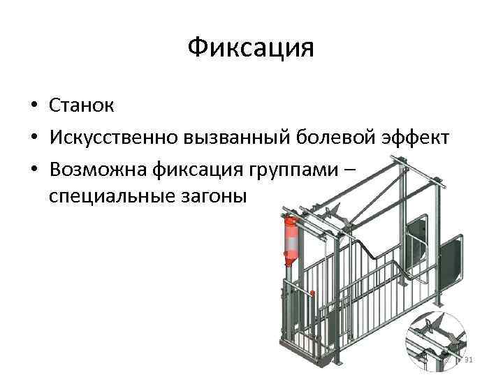 Фиксация • Станок • Искусственно вызванный болевой эффект • Возможна фиксация группами – специальные