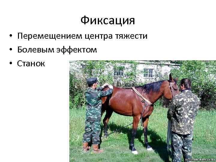 Фиксация • Перемещением центра тяжести • Болевым эффектом • Станок 38 