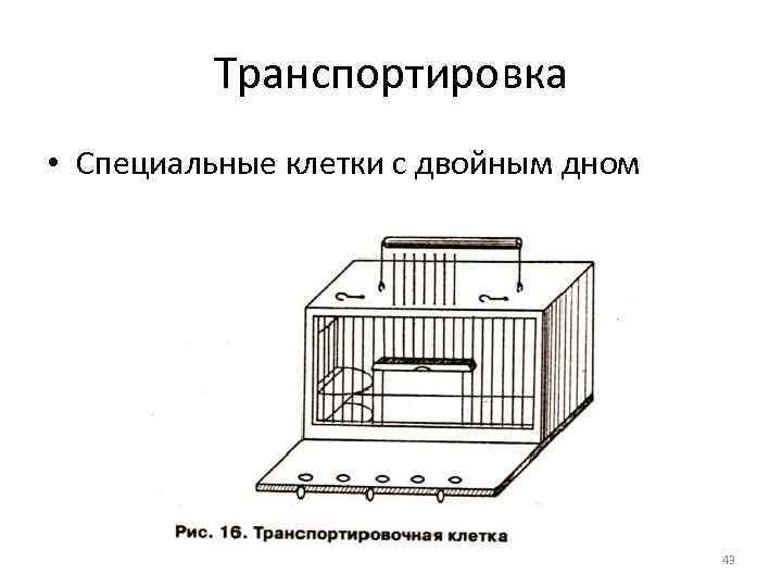 Транспортировка • Специальные клетки с двойным дном 43 