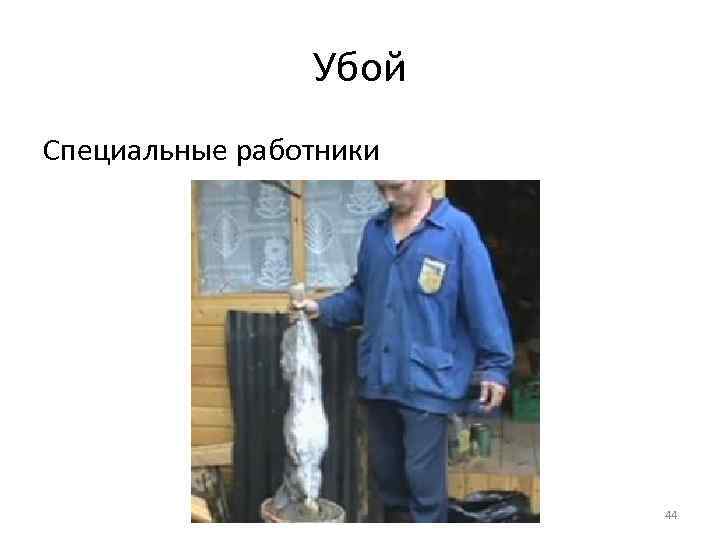 Убой Специальные работники 44 