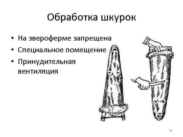 Обработка шкурок • На звероферме запрещена • Специальное помещение • Принудительная вентиляция 45 