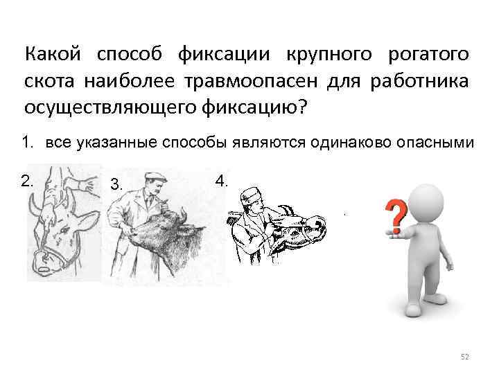 Какой способ фиксации крупного рогатого скота наиболее травмоопасен для работника осуществляющего фиксацию? 1. все