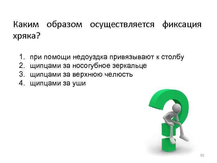 Каким образом осуществляется фиксация хряка? 1. 2. 3. 4. при помощи недоуздка привязывают к