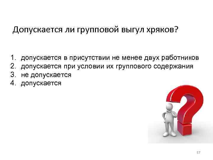 Допускается ли групповой выгул хряков? 1. 2. 3. 4. допускается в присутствии не менее