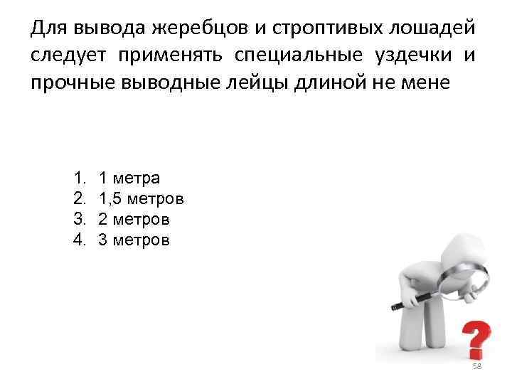 Для вывода жеребцов и строптивых лошадей следует применять специальные уздечки и прочные выводные лейцы
