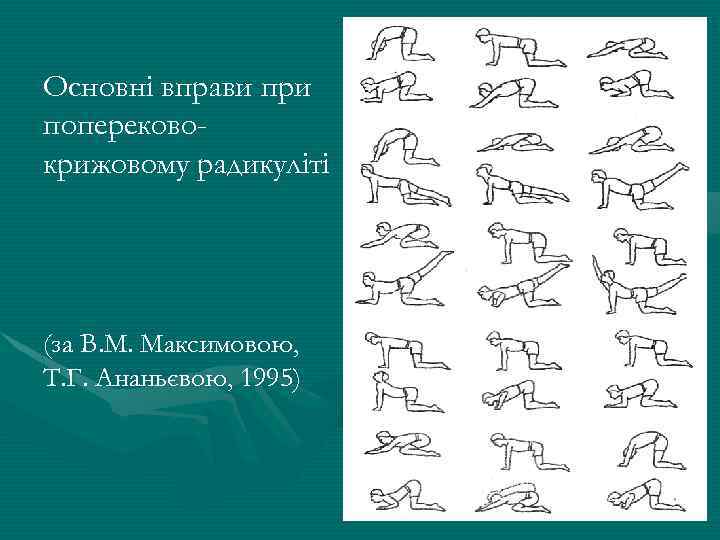 Основні вправи при поперековокрижовому радикуліті (за В. М. Максимовою, Т. Г. Ананьєвою, 1995) 