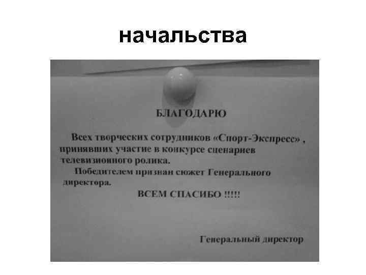 начальства 