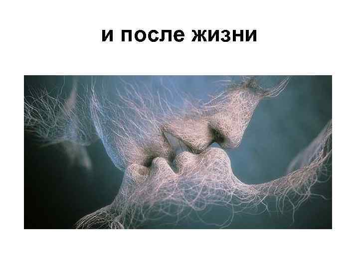 и после жизни 