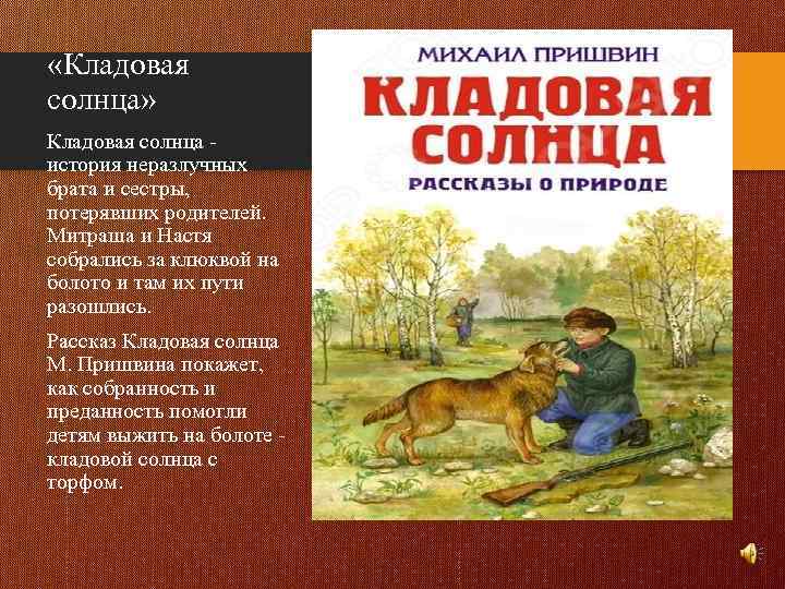  «Кладовая солнца» Кладовая солнца - история неразлучных брата и сестры, потерявших родителей. Митраша