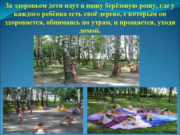 За здоровьем дети идут в нашу берёзовую рощу, где у каждого ребёнка есть своё