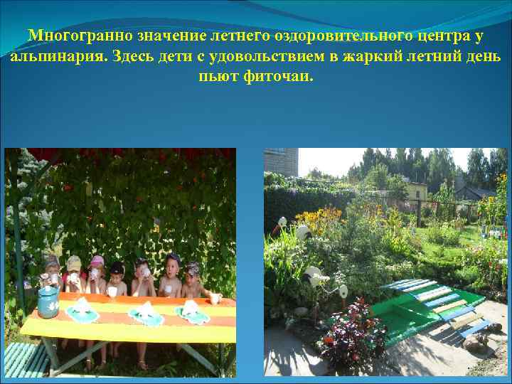 Многогранно значение летнего оздоровительного центра у альпинария. Здесь дети с удовольствием в жаркий летний