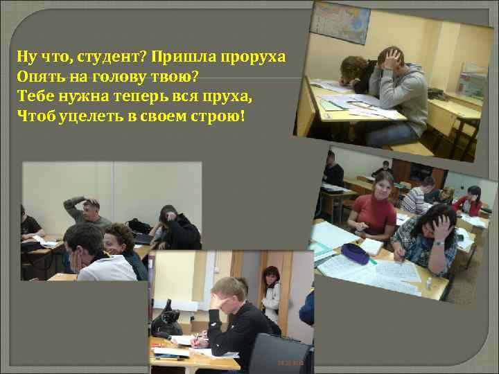Ну что, студент? Пришла проруха Опять на голову твою? Тебе нужна теперь вся пруха,