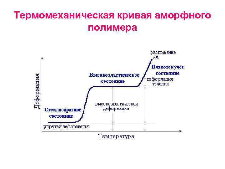 Термомеханическая кривая аморфного полимера 