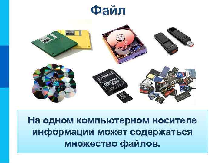 Файл На одном компьютерном носителе информации может содержаться множество файлов. 