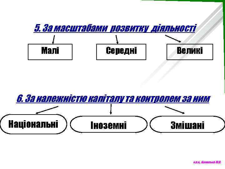 5. За масштабами розвитку діяльності Малі Середні Великі 6. За належністю капіталу та контролем