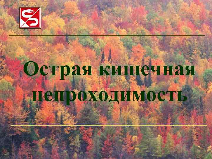 Острая кишечная непроходимость 