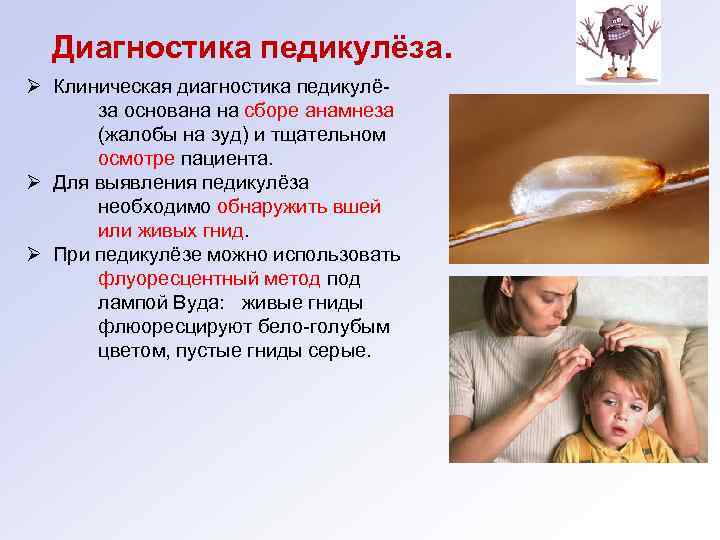 Диагностика педикулёза. Ø Клиническая диагностика педикулёза основана на сборе анамнеза (жалобы на зуд) и