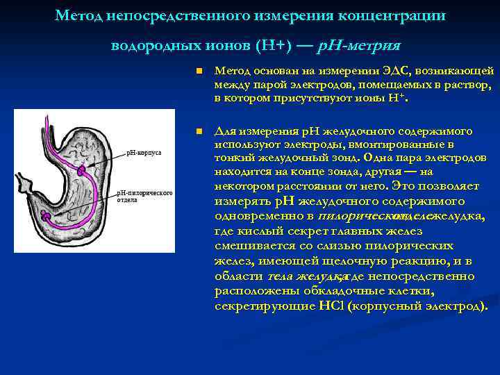 Метод непосредственного измерения концентрации водородных ионов (Н+) — р. Н-метрия n Метод основан на