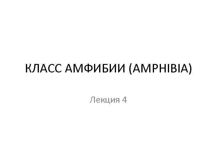 КЛАСС АМФИБИИ (AMPHIBIA) Лекция 4 