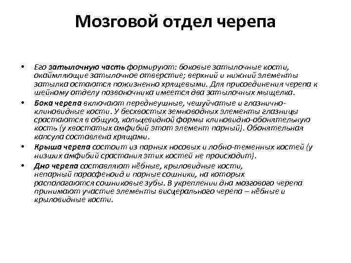 Мозговой отдел черепа • • Его затылочную часть формируют: боковые затылочные кости, окаймляющие затылочное