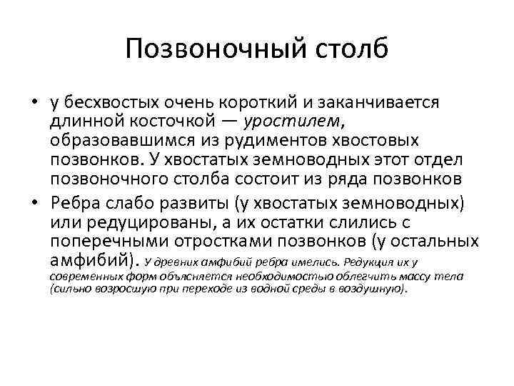 Позвоночный столб • у бесхвостых очень короткий и заканчивается длинной косточкой — уростилем, образовавшимся