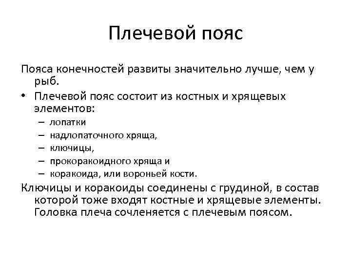 Плечевой пояс Пояса конечностей развиты значительно лучше, чем у рыб. • Плечевой пояс состоит