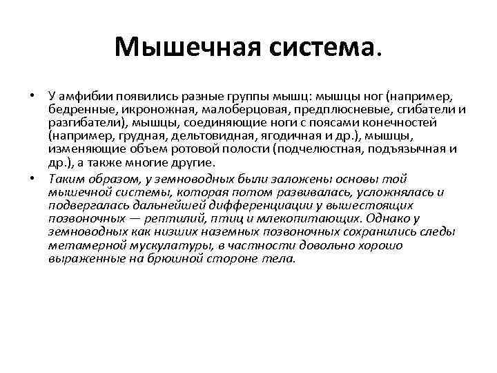 Мышечная система. • У амфибии появились разные группы мышц: мышцы ног (например, бедренные, икроножная,