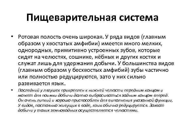 Пищеварительная система • Ротовая полость очень широкая. У ряда видов (главным образом у хвостатых