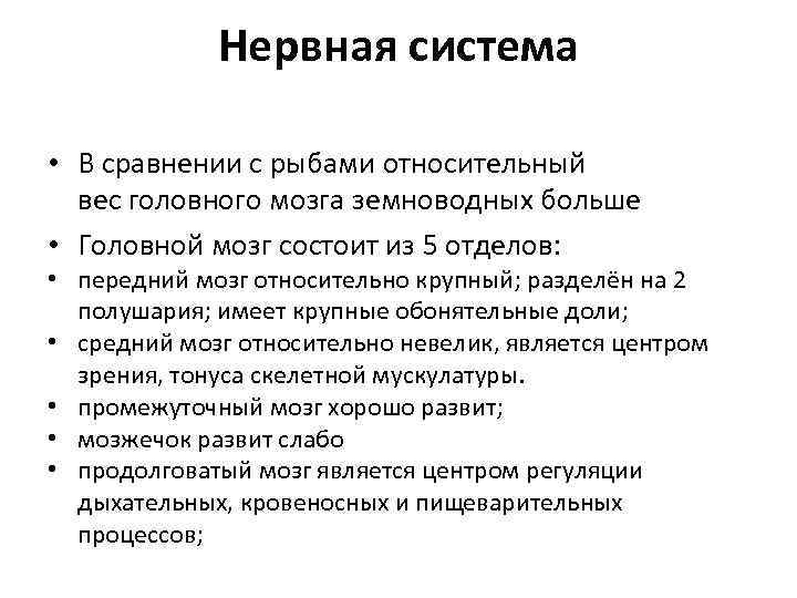 Нервная система • В сравнении с рыбами относительный вес головного мозга земноводных больше •