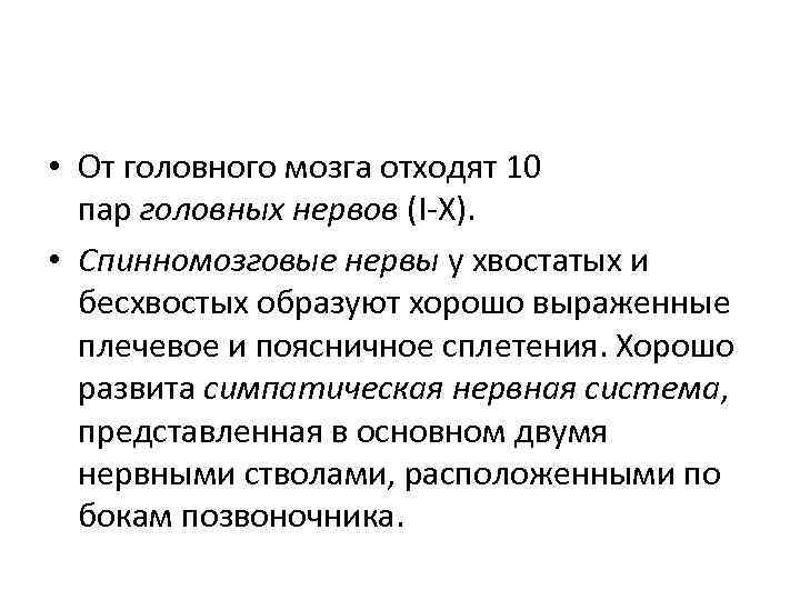  • От головного мозга отходят 10 пар головных нервов (I-X). • Спинномозговые нервы