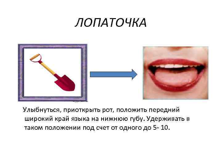 ЛОПАТОЧКА Улыбнуться, приоткрыть рот, положить передний широкий край языка на нижнюю губу. Удерживать в