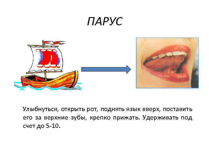 ПАРУС Улыбнуться, открыть рот, поднять язык вверх, поставить его за верхние зубы, крепко прижать.