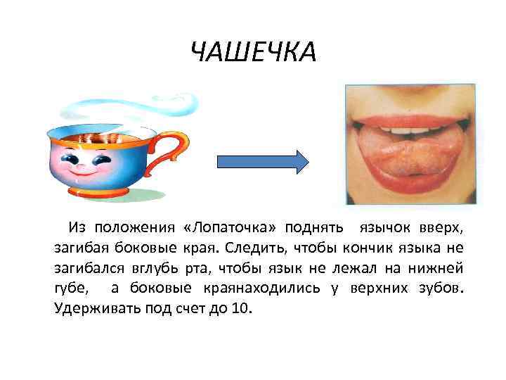 ЧАШЕЧКА Из положения «Лопаточка» поднять язычок вверх, загибая боковые края. Следить, чтобы кончик языка