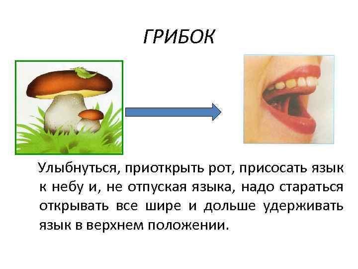 ГРИБОК Улыбнуться, приоткрыть рот, присосать язык к небу и, не отпуская языка, надо стараться