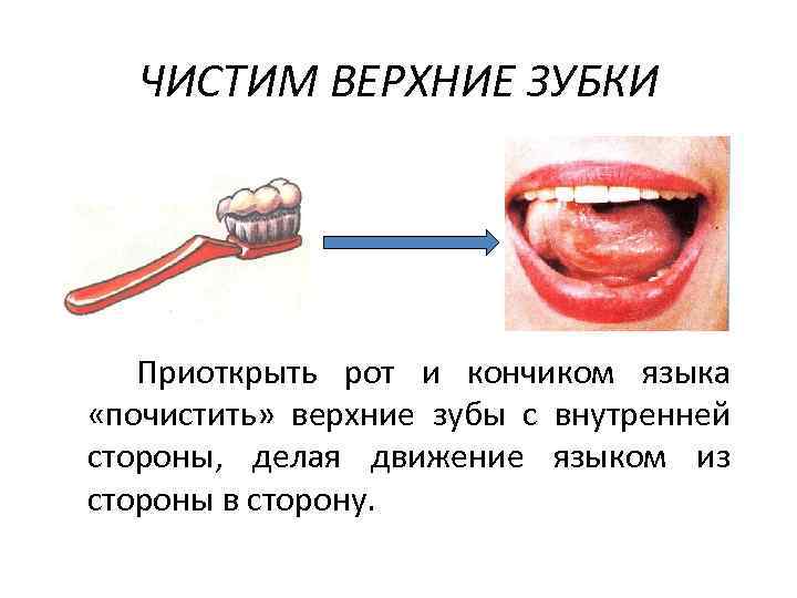 ЧИСТИМ ВЕРХНИЕ ЗУБКИ Приоткрыть рот и кончиком языка «почистить» верхние зубы с внутренней стороны,
