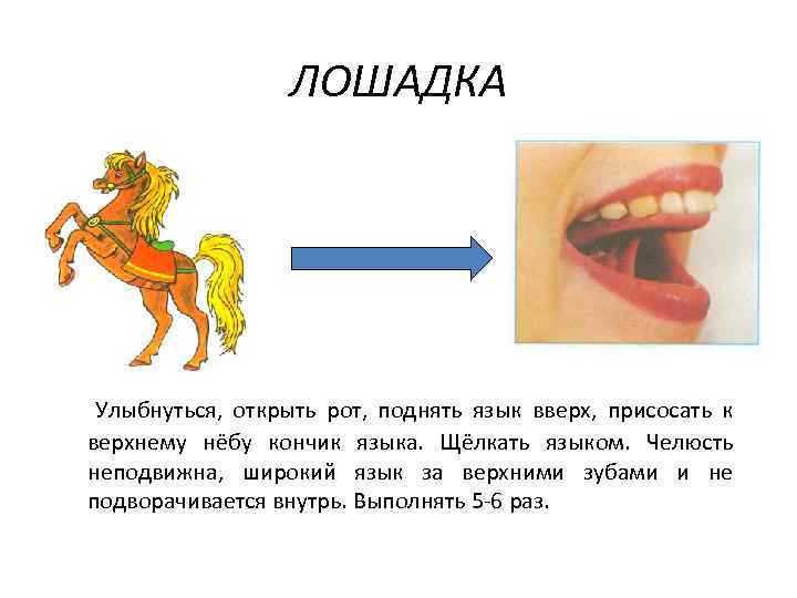ЛОШАДКА Улыбнуться, открыть рот, поднять язык вверх, присосать к верхнему нёбу кончик языка. Щёлкать